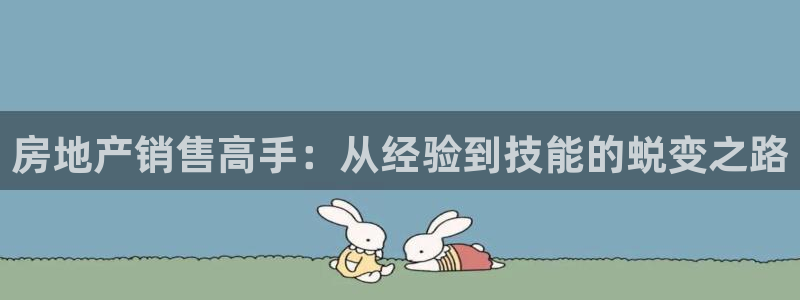 新宝5平台登陆：房地产销售高手：从经验到技能的蜕变之路