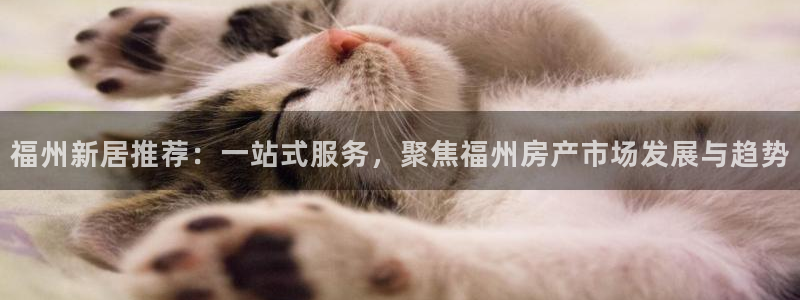 新宝5登录注册：福州新居推荐：一站式服务，聚焦福州房产市场发