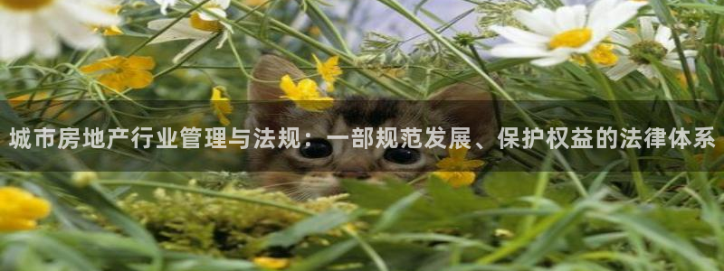 新宝5娱乐家：城市房地产行业管理与法规：一部规范发展、保护权
