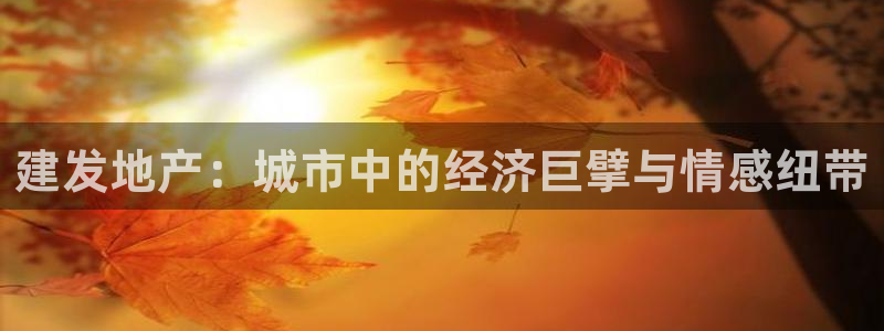 新宝cR一5：建发地产：城市中的经济巨擘与情感纽带