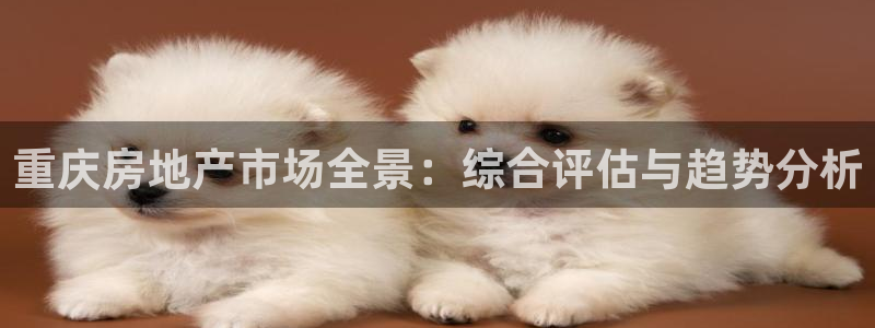 新宝5地址：重庆房地产市场全景：综合评估与趋势分析
