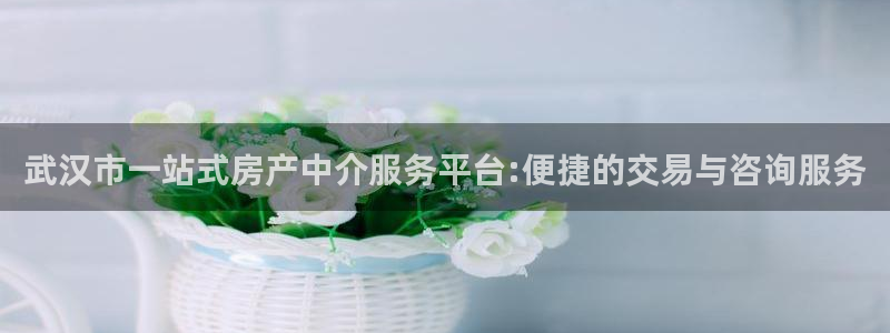 新宝5五：武汉市一站式房产中介服务平台:便捷的交易与咨询服务