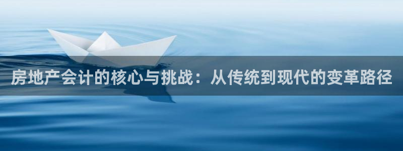 新宝5卫74OOO5：房地产会计的核心与挑战：从传统到现代的