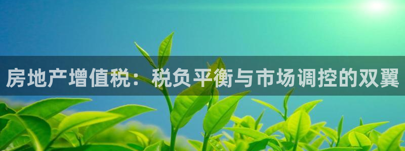 新宝5手机登录：房地产增值税：税负平衡与市场调控的双翼