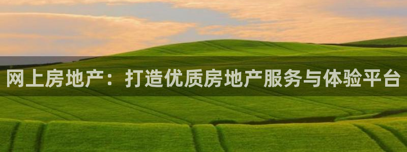 新宝5在哪里：网上房地产：打造优质房地产服务与体验平台