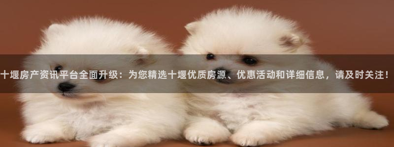 新宝5网站：十堰房产资讯平台全面升级：为您精选十堰优质房源、