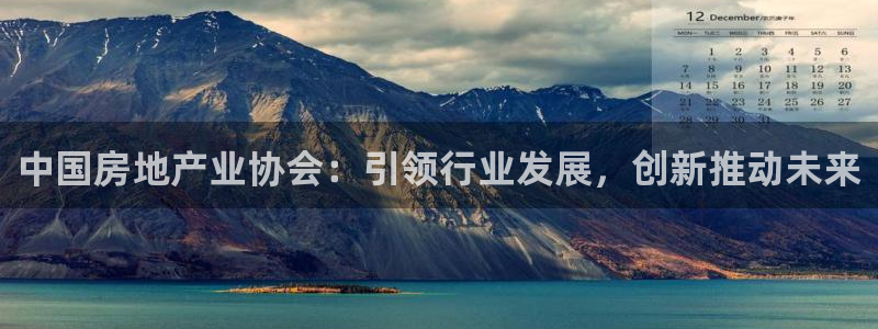 新宝h2O5O5O：中国房地产业协会：引领行业发展，创新推动