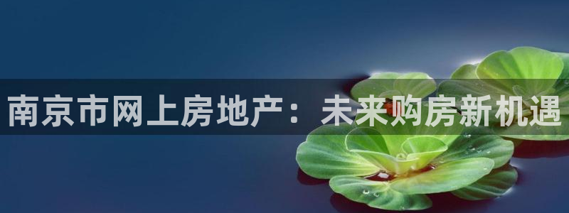 新宝股东王听2 5 5：南京市网上房地产：未来购房新机遇