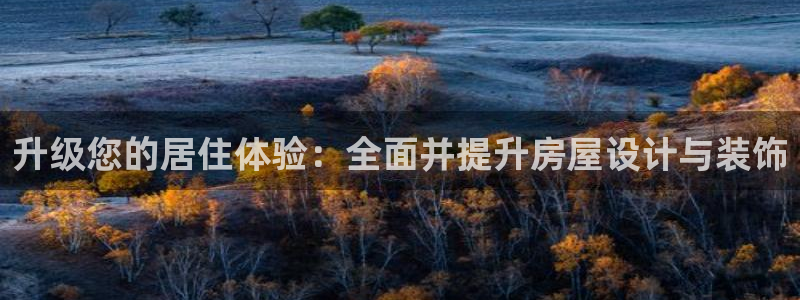 新宝h2O5O5O：升级您的居住体验：全面并提升房屋设计与装