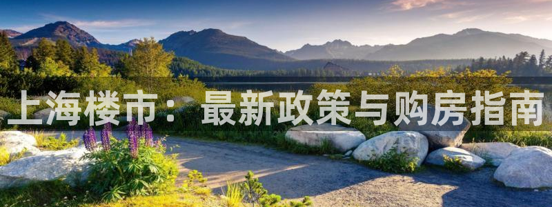新宝5网站：上海楼市：最新政策与购房指南
