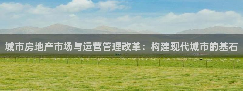 新宝5手机版登录：城市房地产市场与运营管理改革：构建现代城市