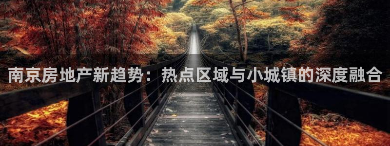 新宝5官网67五壹叁八：南京房地产新趋势：热点区域与小城镇的
