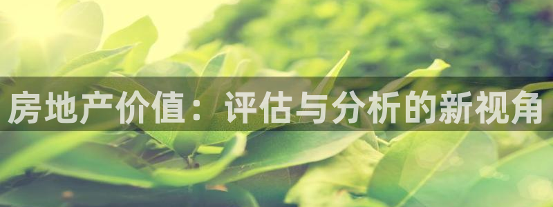 新宝5客户端登录：房地产价值：评估与分析的新视角