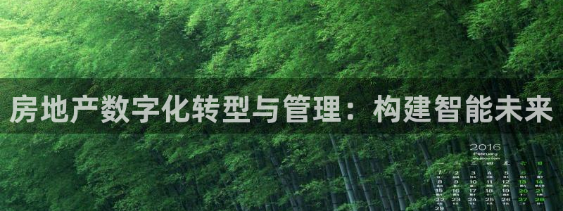 新宝5平棋牌：房地产数字化转型与管理：构建智能未来