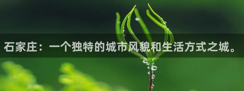新宝5招商222111：石家庄：一个独特的城市风貌和生活方式