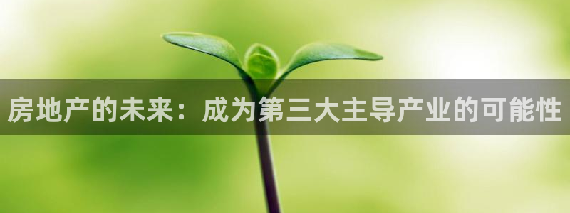 新宝5玩法：房地产的未来：成为第三大主导产业的可能性