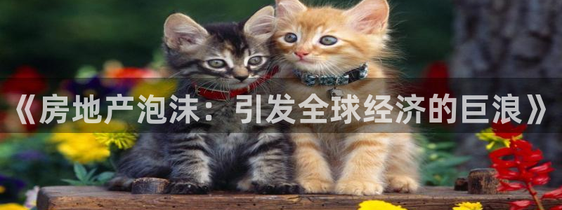 新宝5手机登录：《房地产泡沫：引发全球经济的巨浪》