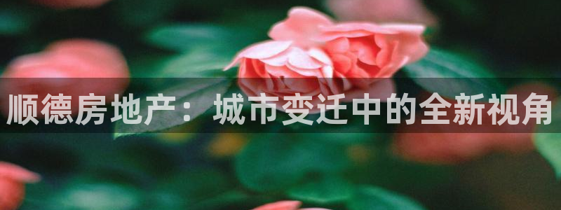 新宝5 注册：顺德房地产：城市变迁中的全新视角