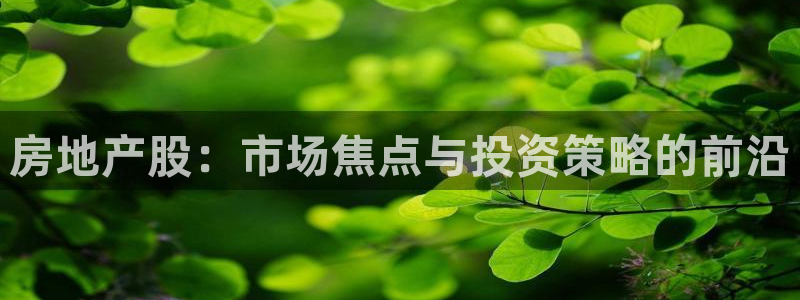 新宝5-测速：房地产股：市场焦点与投资策略的前沿