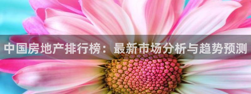 新宝5登录平台：中国房地产排行榜：最新市场分析与趋势预测