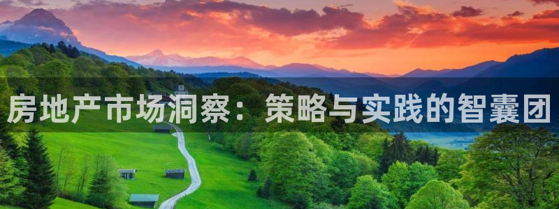 新宝5网址：房地产市场洞察：策略与实践的智囊团