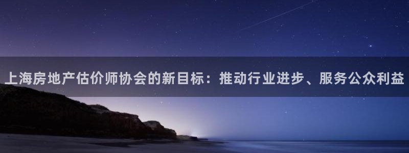 新宝5王问74OOO5：上海房地产估价师协会的新目标：推动行