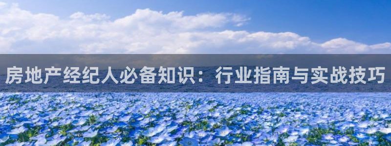 新宝5官网霸：房地产经纪人必备知识：行业指南与实战技巧
