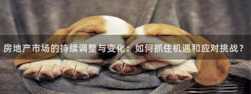 新宝5黑彩：房地产市场的持续调整与变化：如何抓住机遇和应对挑