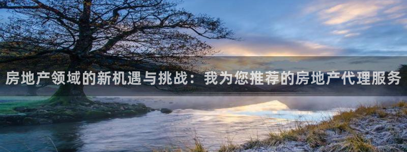 新宝5天：房地产领域的新机遇与挑战：我为您推荐的房地产代理服