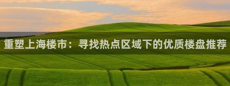新宝5是谁的：重塑上海楼市：寻找热点区域下的优质楼盘推荐