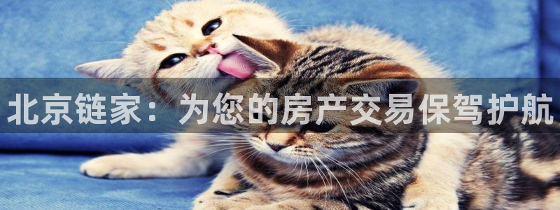 新宝那2O5O5O：北京链家：为您的房产交易保驾护航