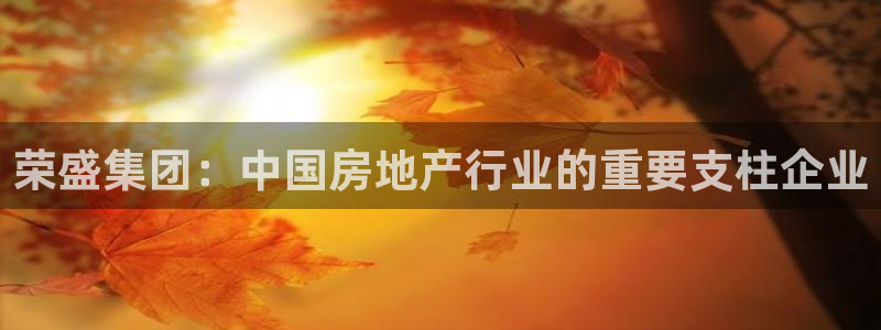 新宝骏rc5W：荣盛集团：中国房地产行业的重要支柱企业