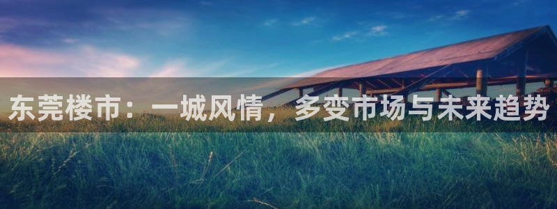 新宝娱乐5