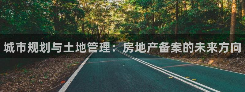 新宝5X：城市规划与土地管理：房地产备案的未来方向