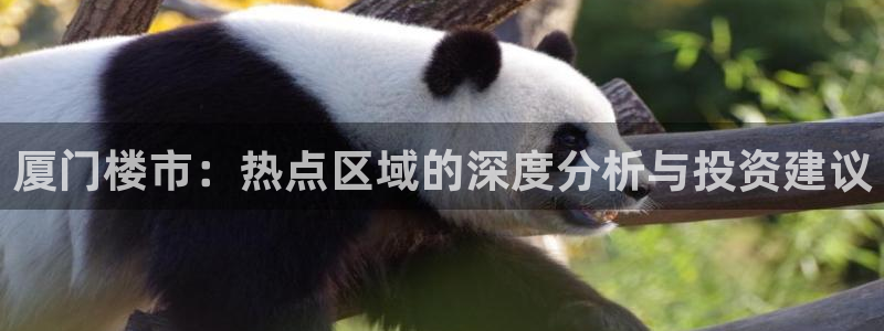 新宝h2O5O5O：厦门楼市：热点区域的深度分析与投资建议