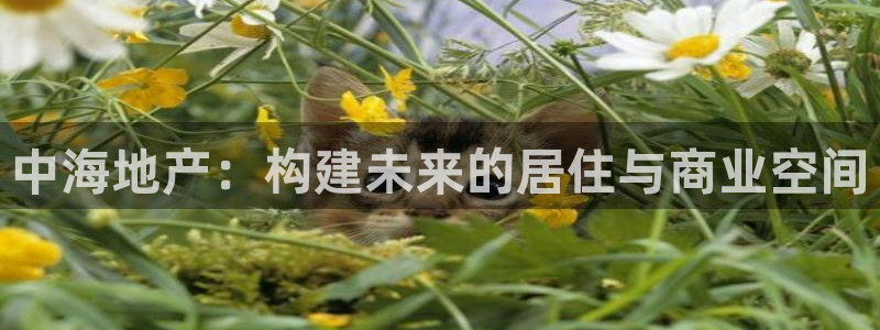 新宝5娱乐都：中海地产：构建未来的居住与商业空间