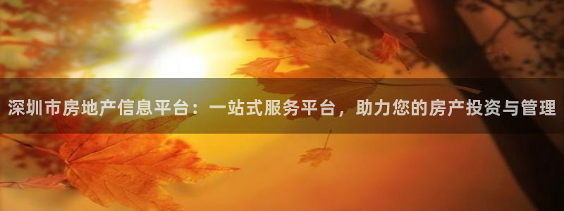 新宝娱乐5：深圳市房地产信息平台：一站式服务平台，助力您的房