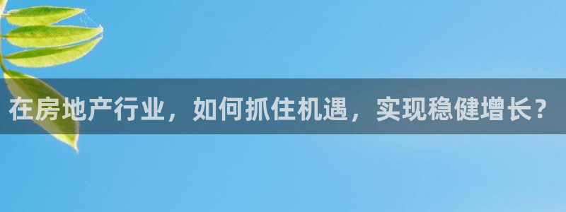 新宝5分彩：在房地产行业，如何抓住机遇，实现稳健增长？