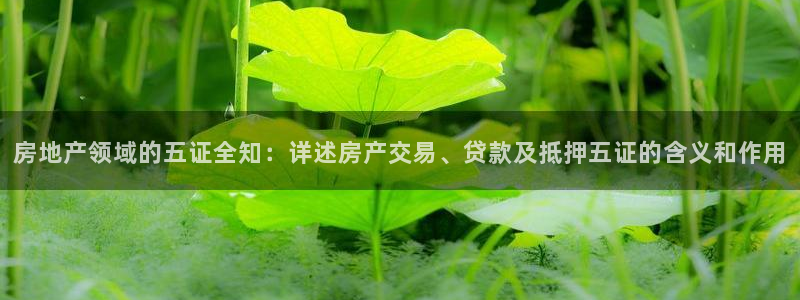 新宝5注册账号：房地产领域的五证全知：详述房产交易、贷款及抵