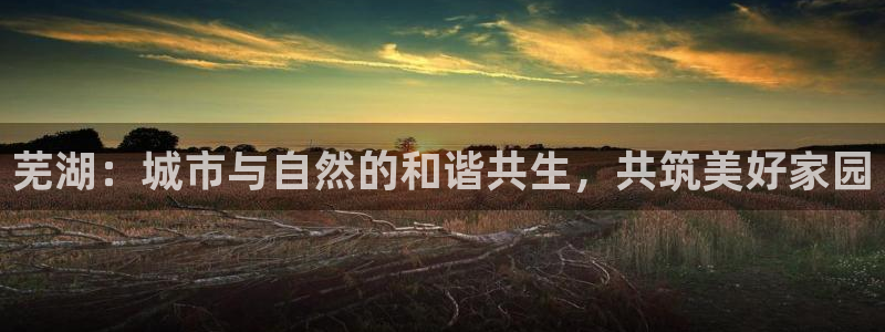 新宝5开户：芜湖：城市与自然的和谐共生，共筑美好家园