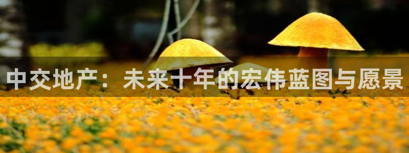 新宝5下载网址：中交地产：未来十年的宏伟蓝图与愿景