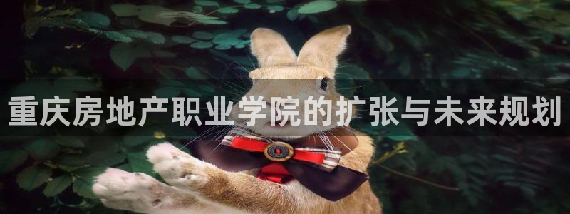 新宝5什么时候上市：重庆房地产职业学院的扩张与未来规划