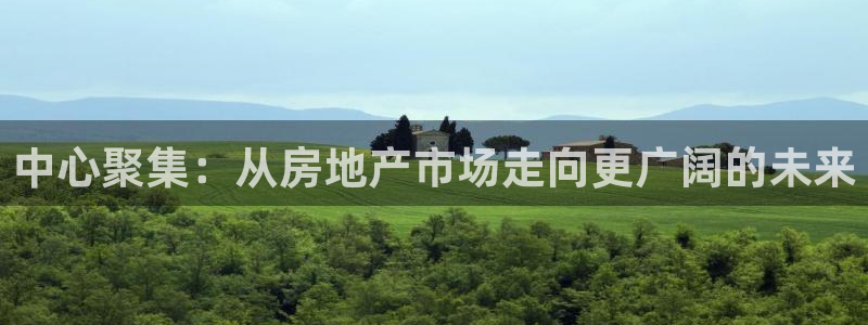 新宝5电脑：中心聚集：从房地产市场走向更广阔的未来