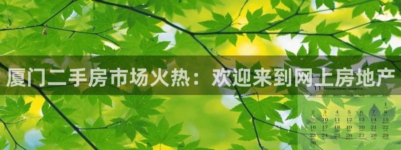 新宝5平棋牌：厦门二手房市场火热：欢迎来到网上房地产