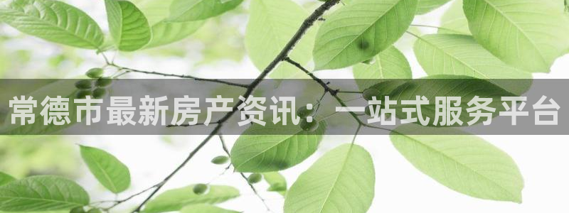 新宝注5册：常德市最新房产资讯：一站式服务平台