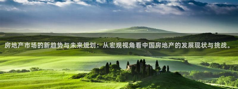 新宝5下载到桌面：房地产市场的新趋势与未来规划：从宏观视角看