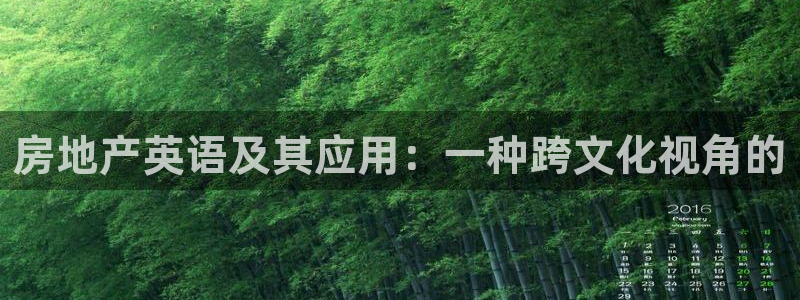 新宝5手机登陆：房地产英语及其应用：一种跨文化视角的