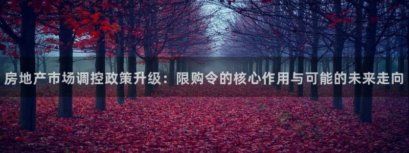 i新宝5：房地产市场调控政策升级：限购令的核心作用与可能的未