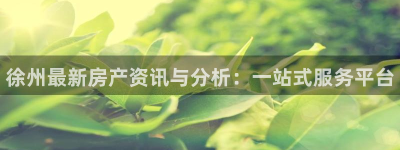 新宝5手机版登录：徐州最新房产资讯与分析：一站式服务平台