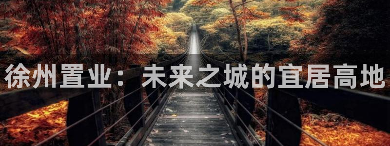 新宝5测速登陆：徐州置业：未来之城的宜居高地